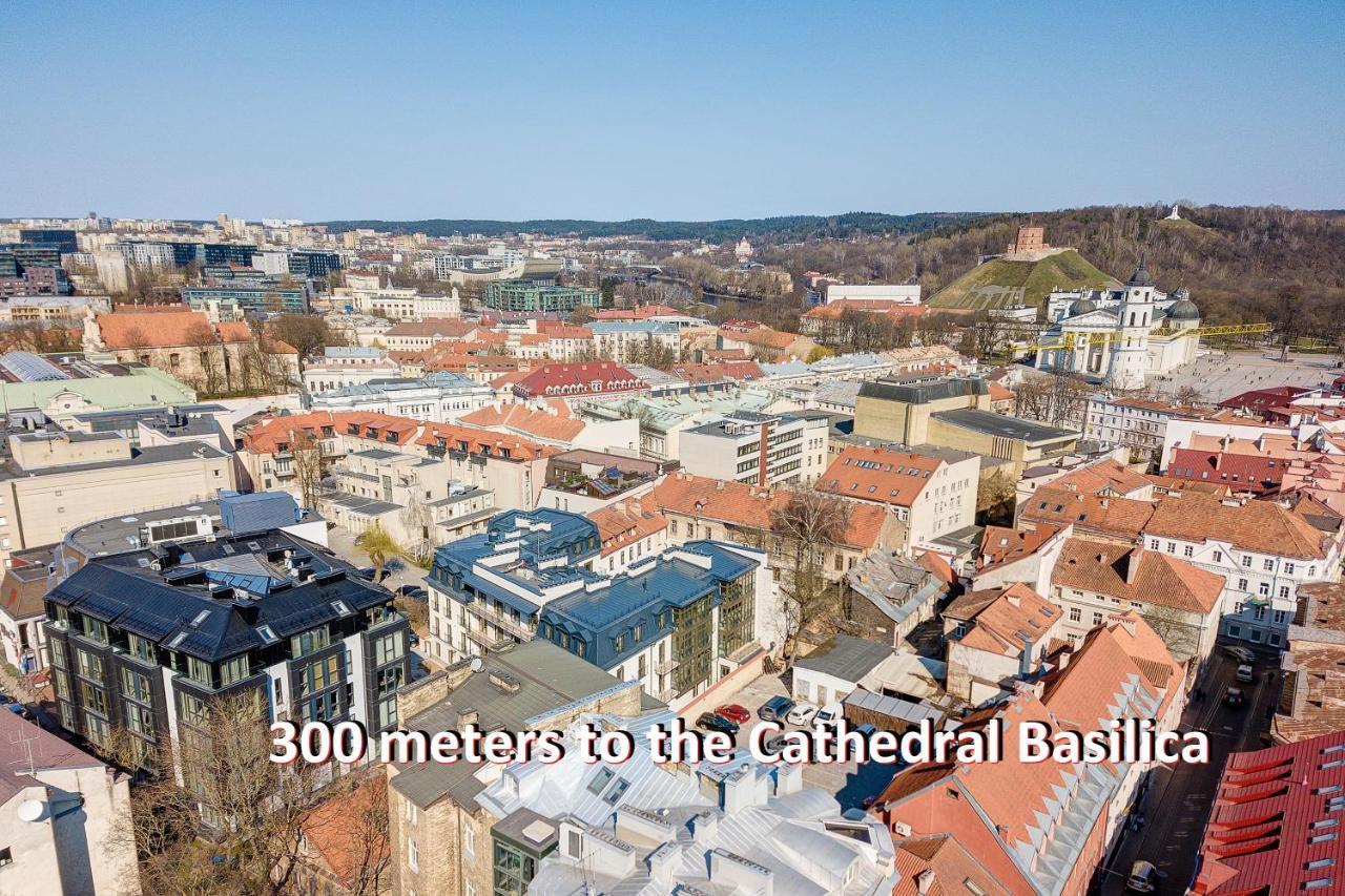 Happy Inn G, Self Check-In, Terrace, Underground Parking Аеропорт Вільнюс Екстер'єр фото